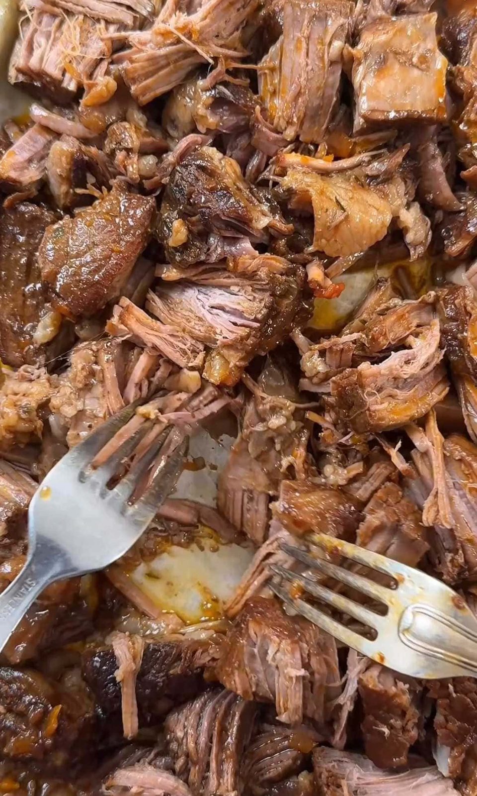 Pulling the bone out of tender braised short ribs