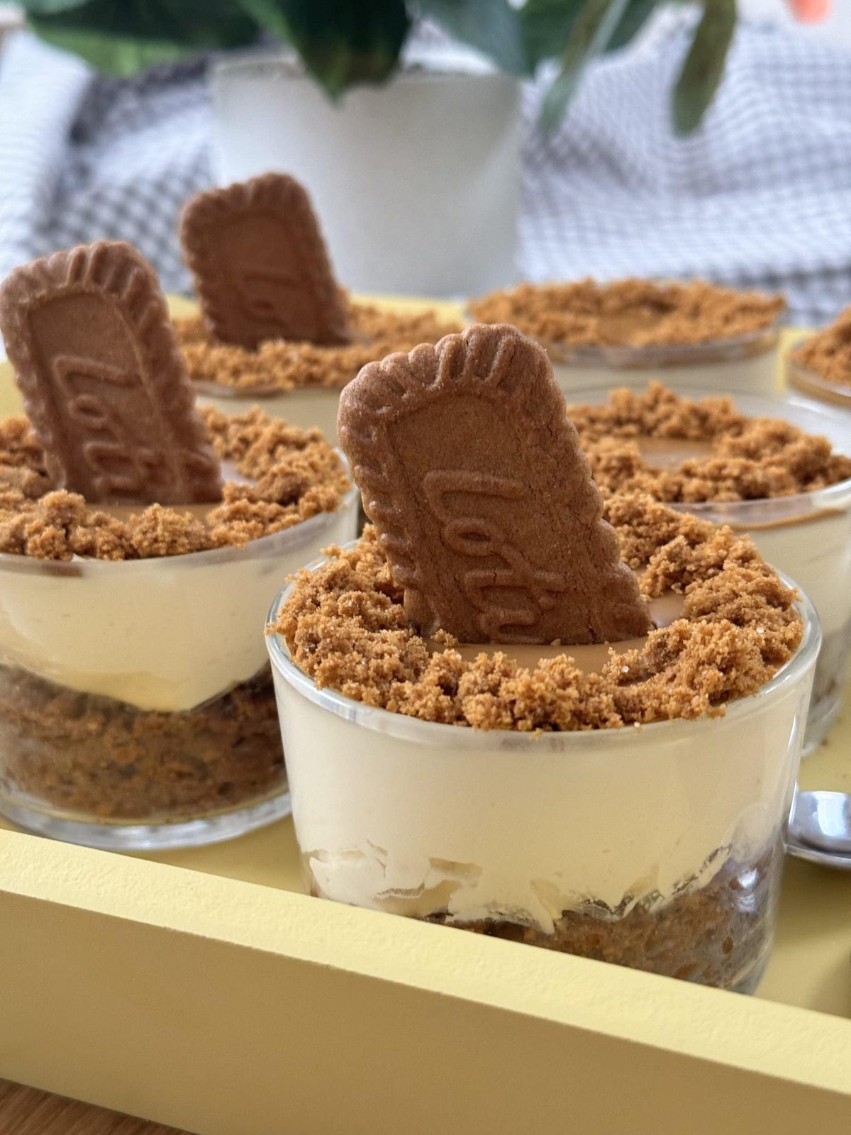 No Bake Biscoff Cheesecake (5 ingredients)