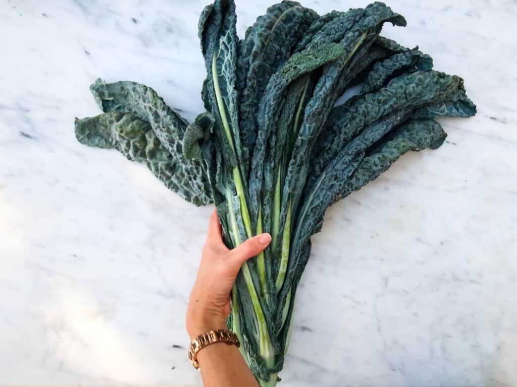 Everything You Need To Know About: Cavolo Nero