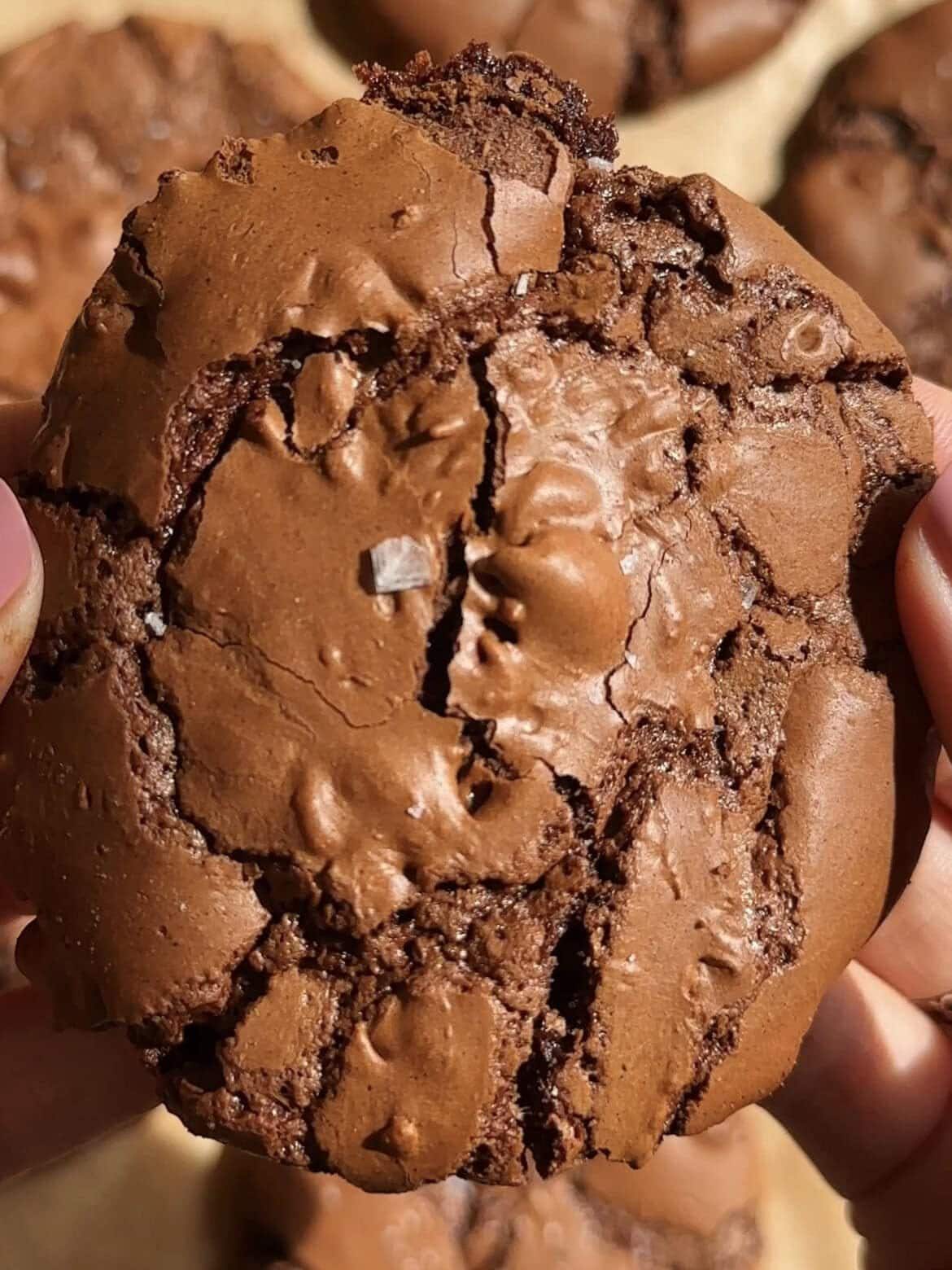 woman holding a chocolate brownie cookie