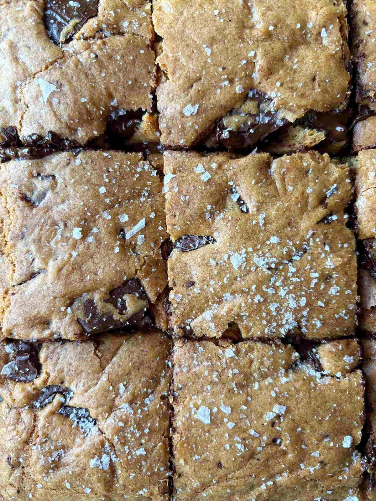 chocolate chip cookie bars sliced, close up.