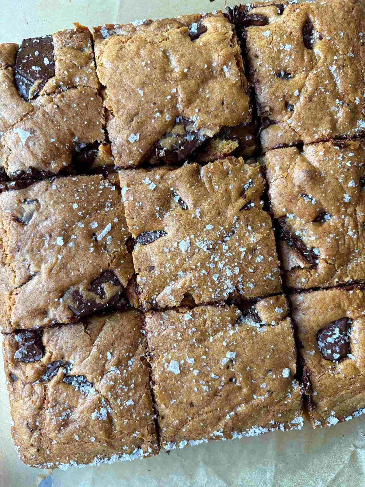 Freshly baked chocolate chip cookie bars.