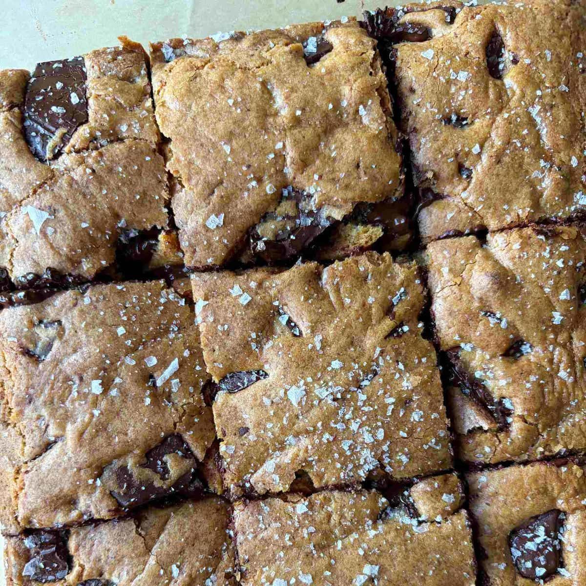 Chocolate Chip Cookie Bars