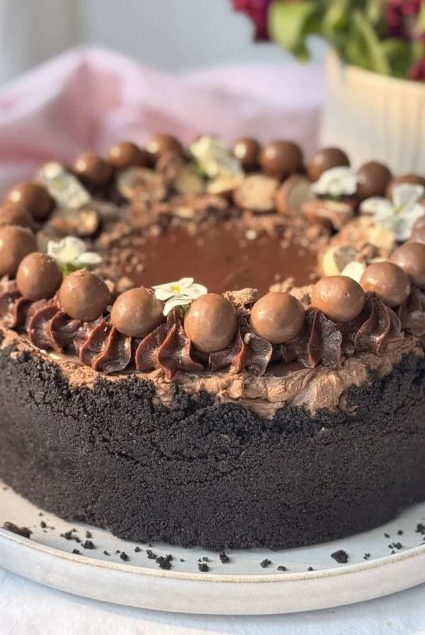 whole no-bake chocolate cheesecake with chocolate decorations.