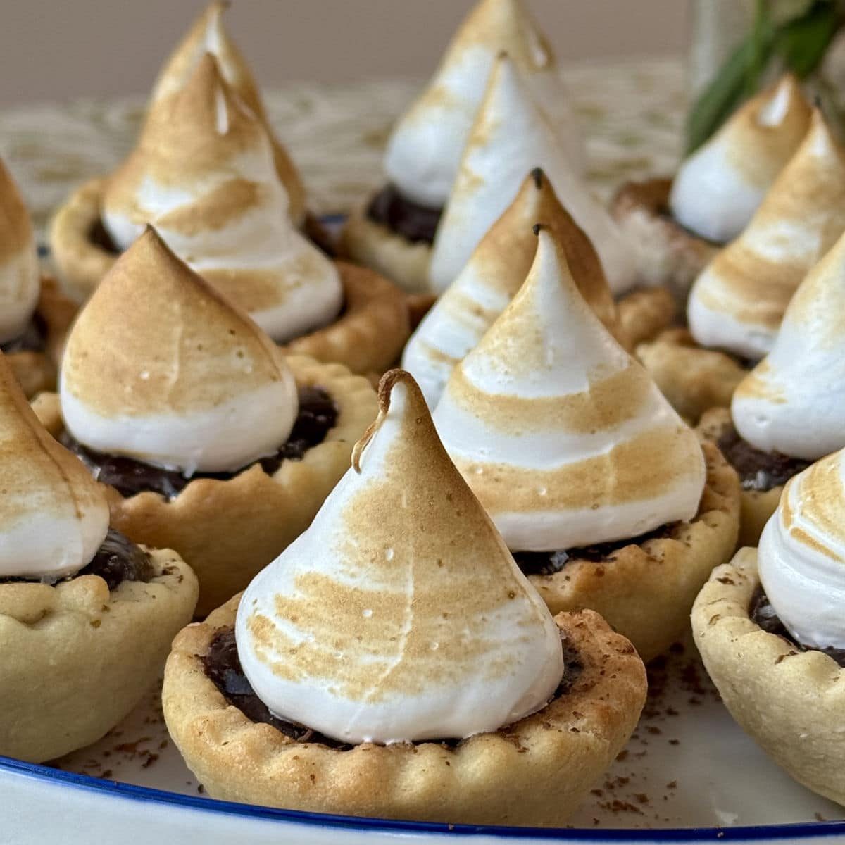 Mini Chocolate Tarts with Toasted Meringue Topping