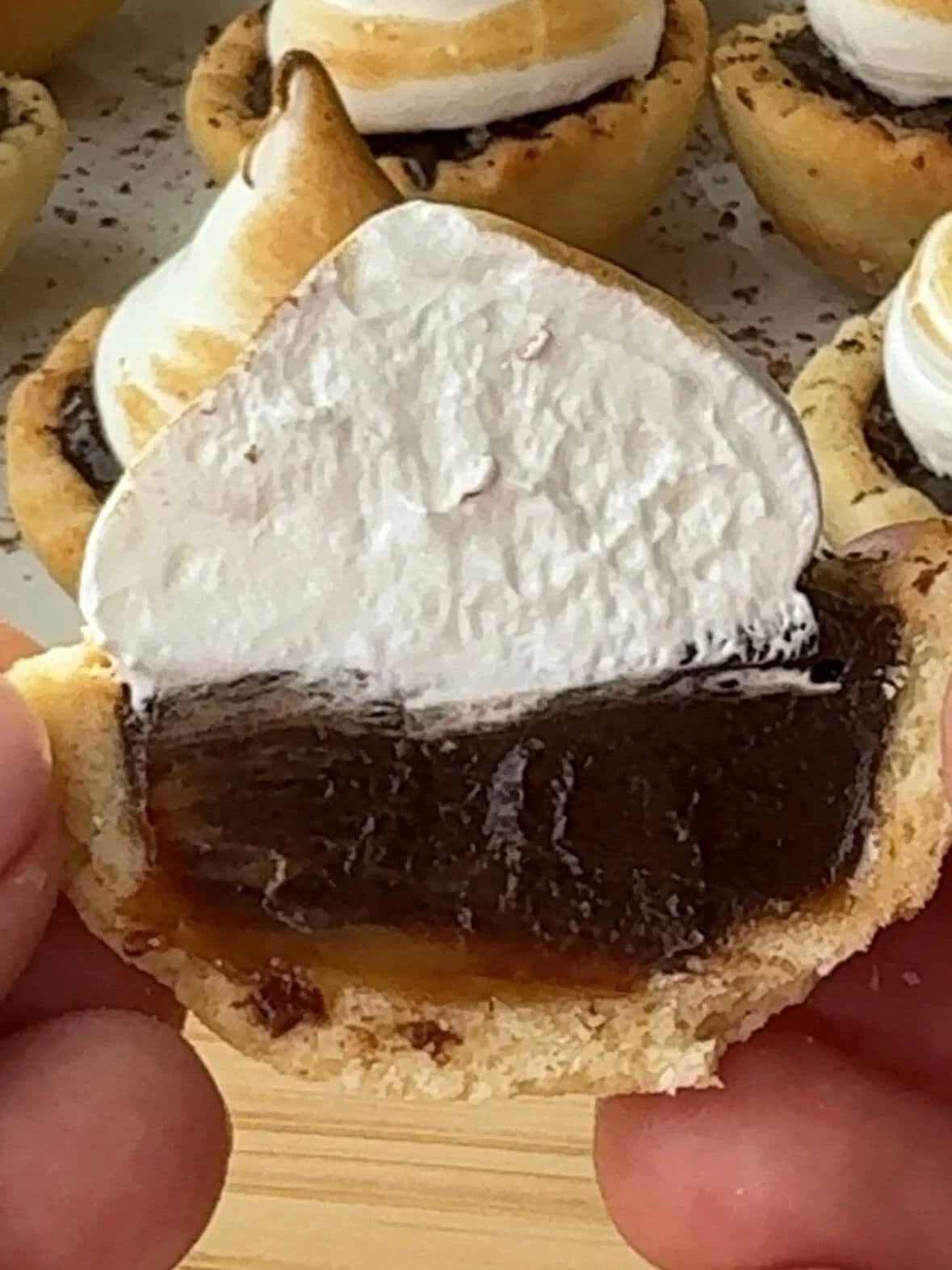 cross section of chocolate tart.