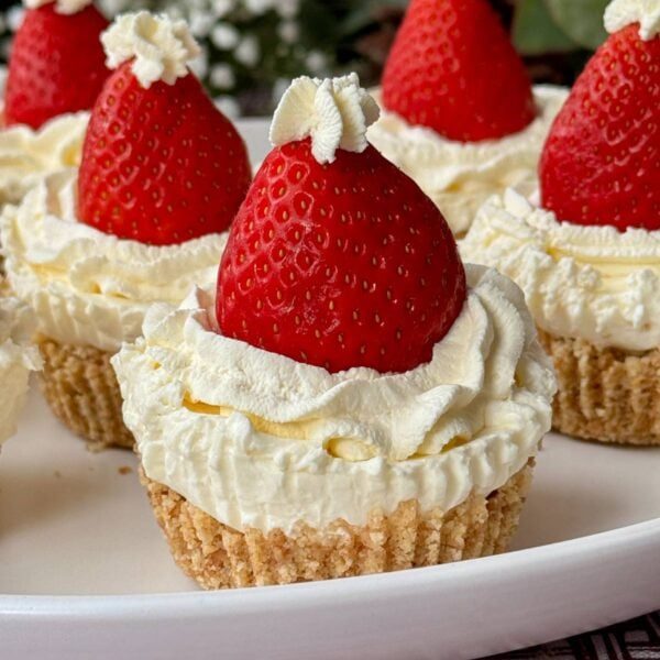 Christmas cheesecake on a plate.