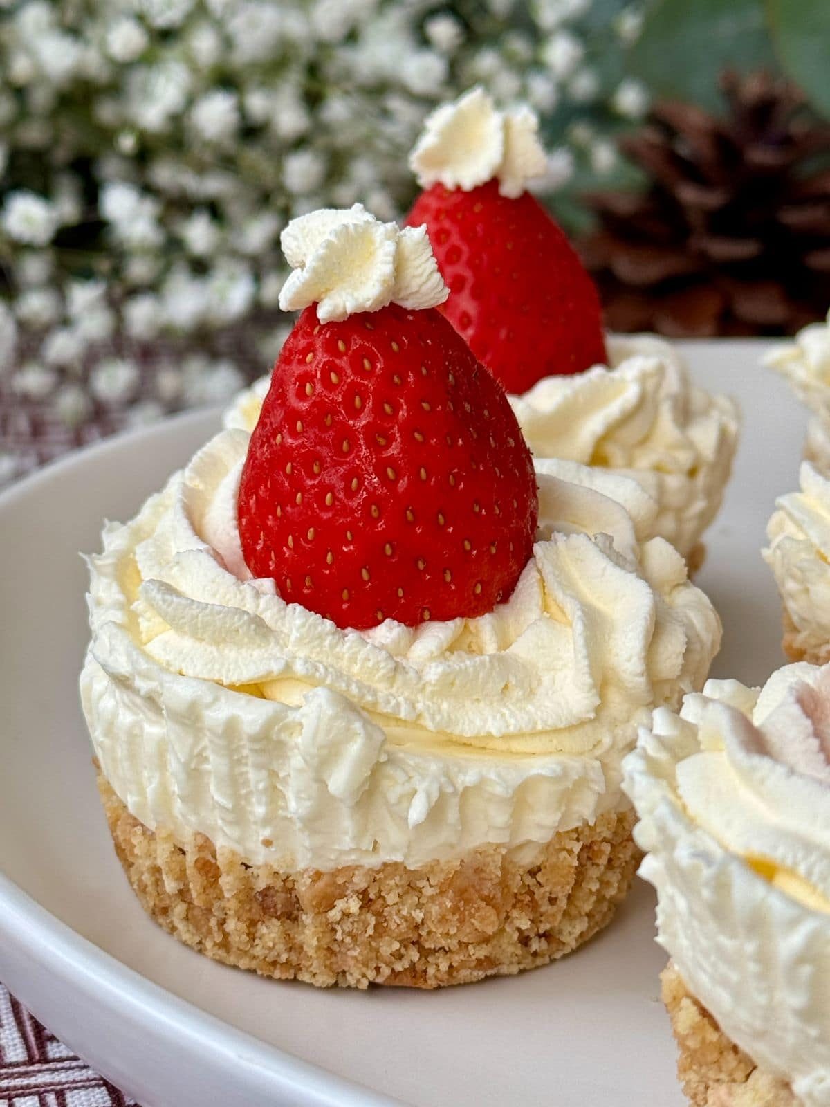 Christmas cake cheesecake on a plate.