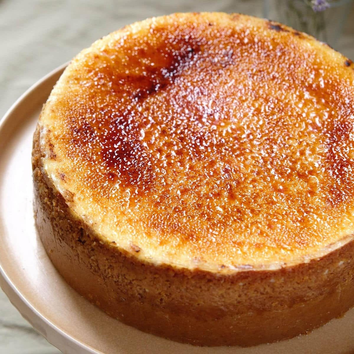 Crème Brûlée Cheesecake