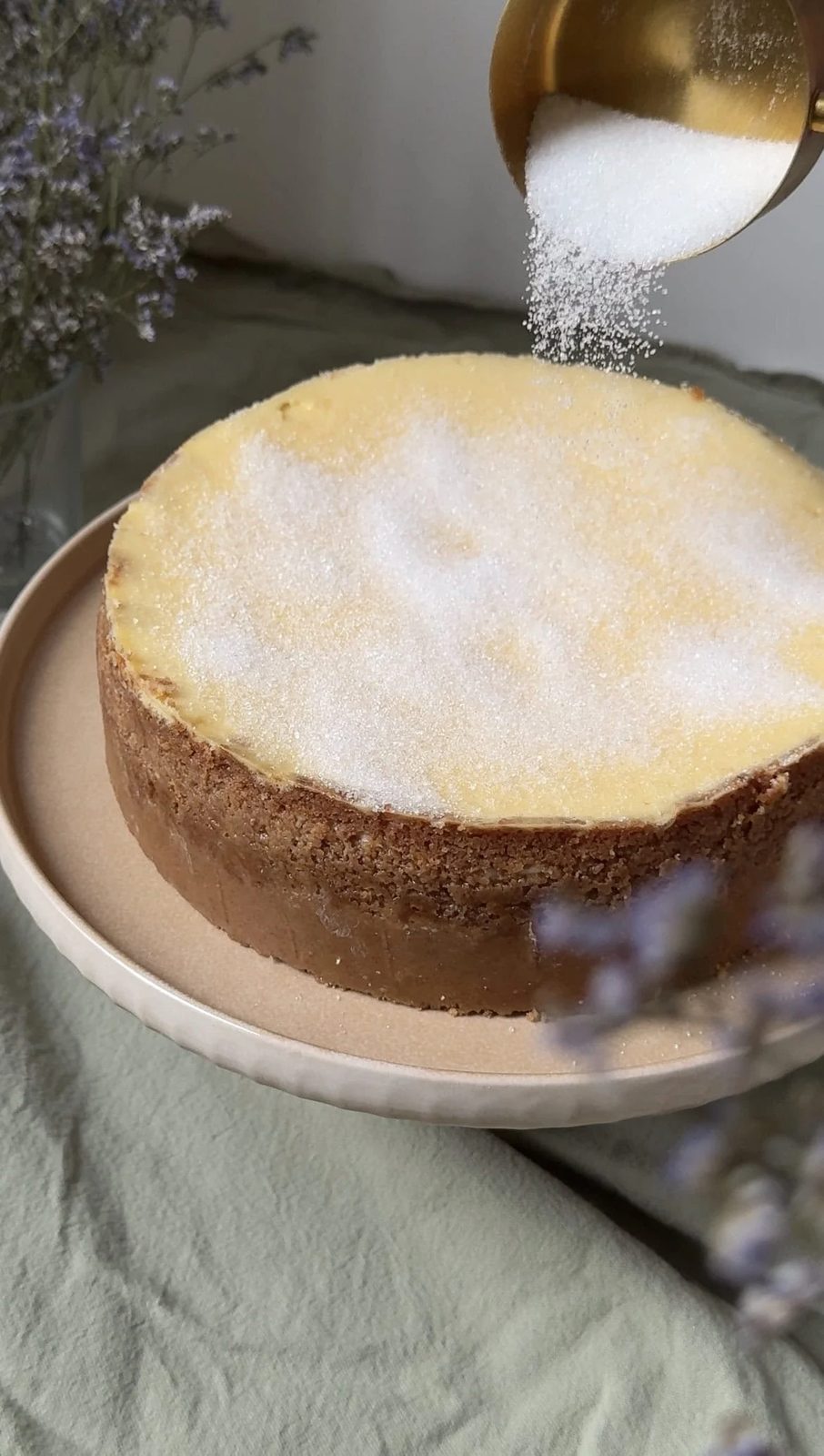 sprinkling sugar on the top of creme brulee cheesecake