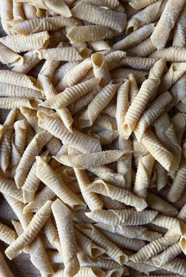 formed garganelli.