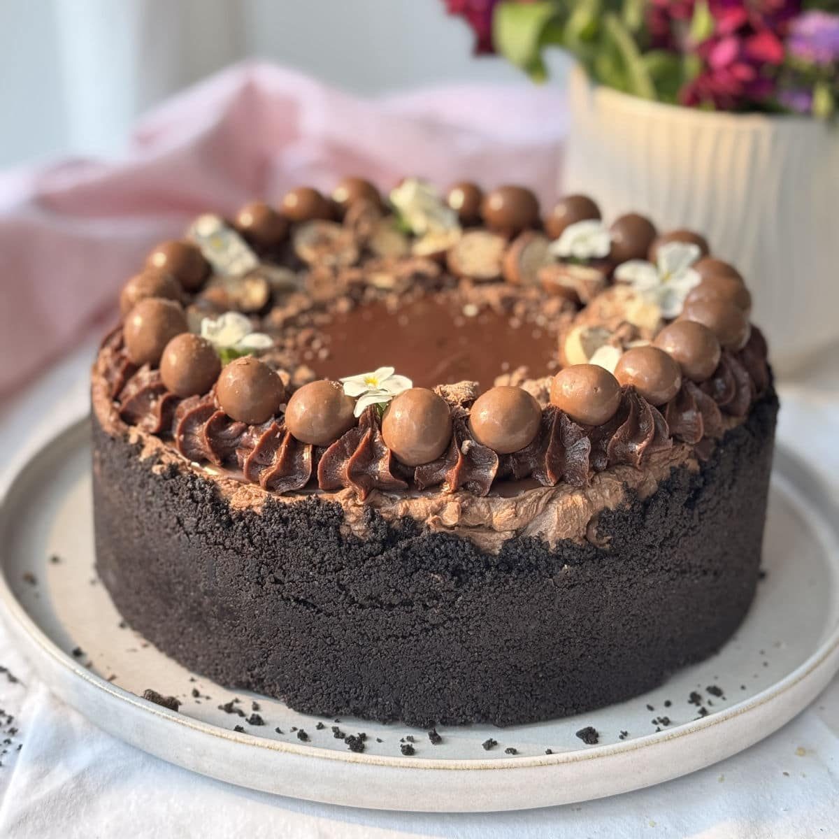 No-Bake Chocolate Cheesecake