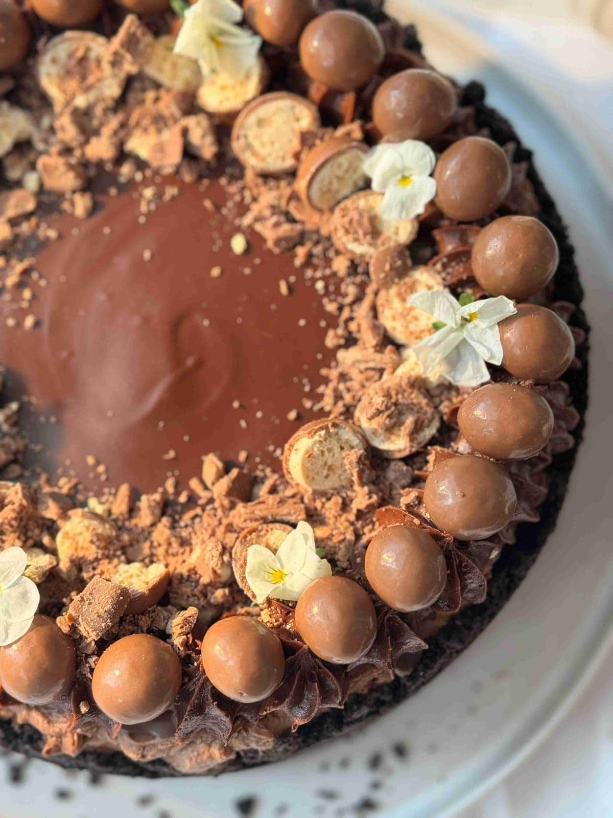 whole no-bake chocolate cheesecake with chocolate decorations.