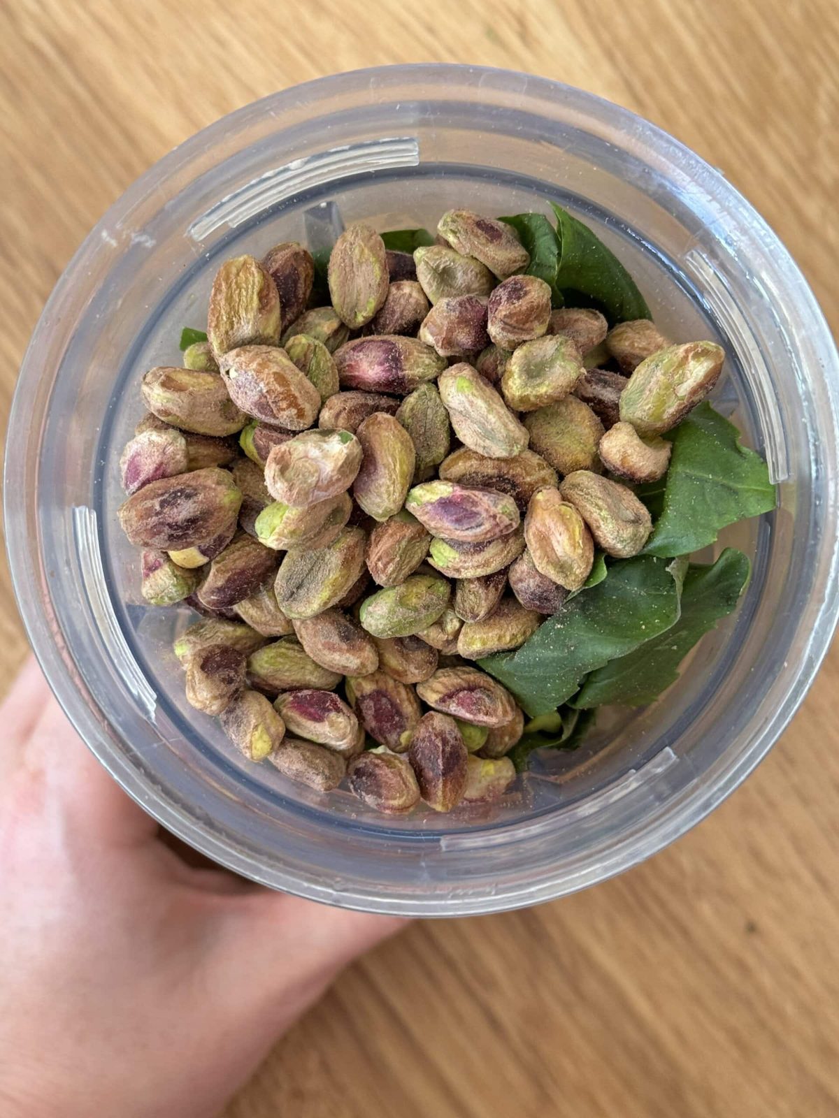 Pistachios, basil, garlic, and other pesto ingredients in blender.