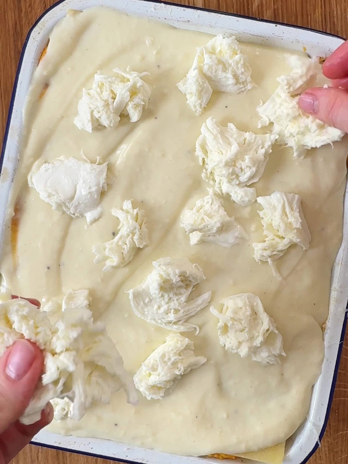 Adding mozzarella to the lasagne.