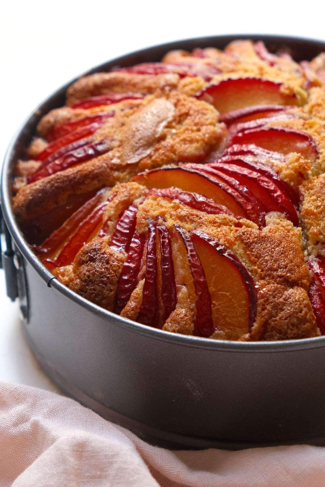 Plum yogurt cake in a grey tin.