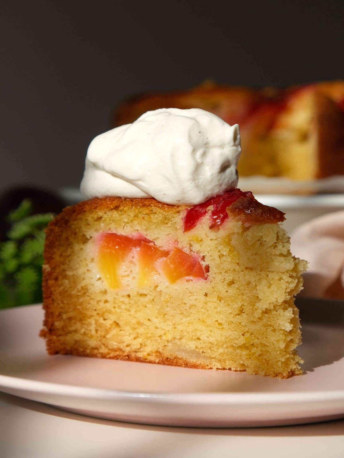 Plum yogurt cake slice on a white plate with whipped cream.
