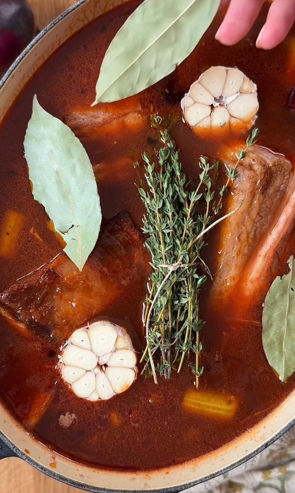 Braised short ribs in red wine sauce fresh out of the oven.