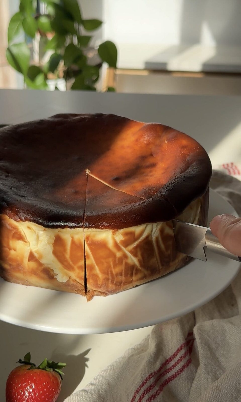 slicing san sebastian cheesecake.