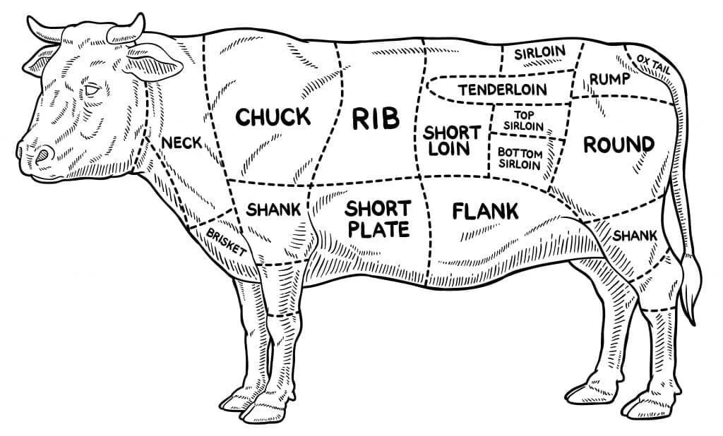 diagram of cow showing cuts of beef.