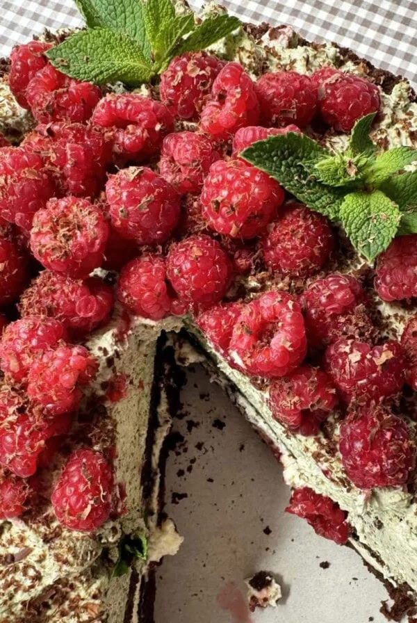 raspberry chocolate cake with slice removed.