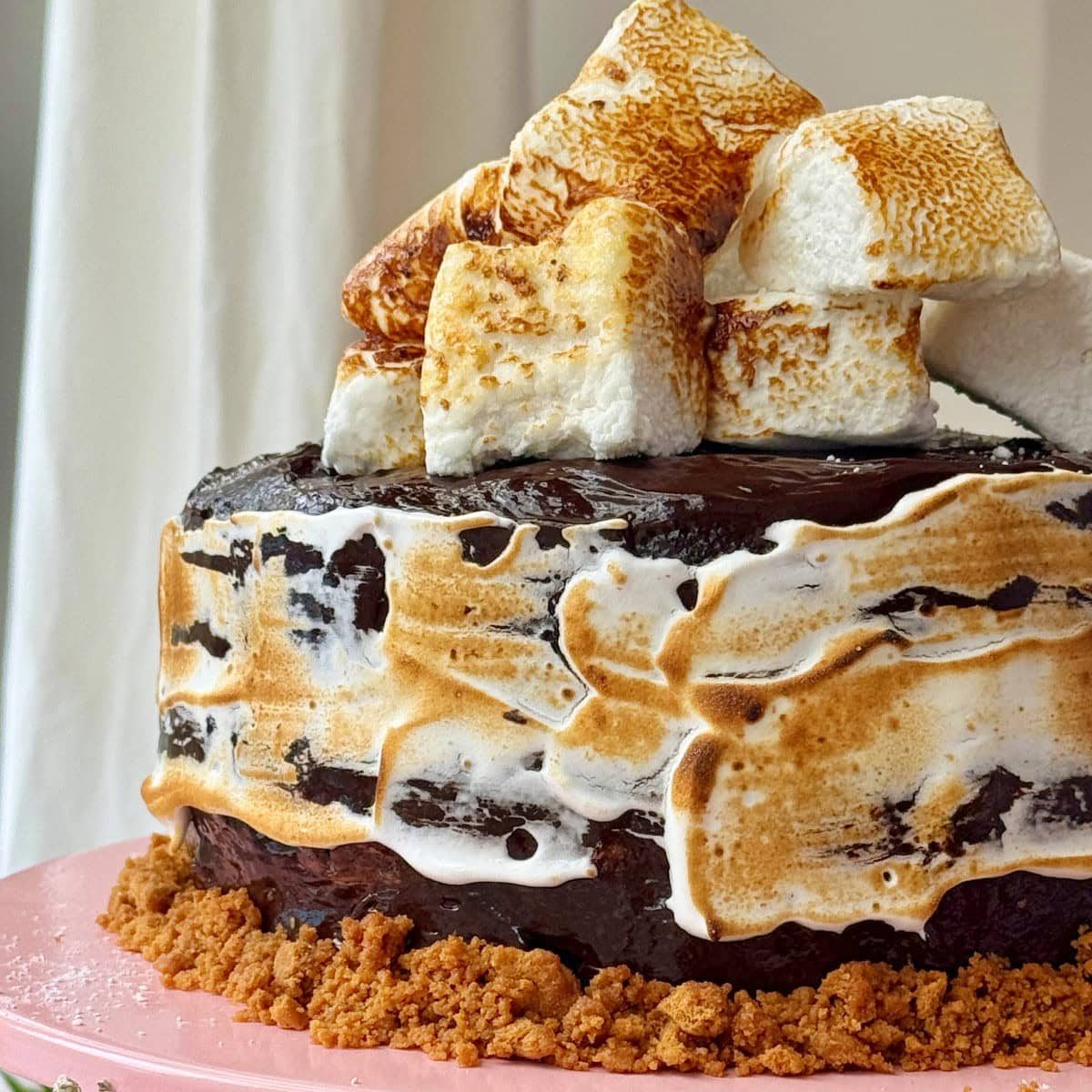 The Best S’mores Cake