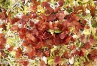 Smoky Brussels Sprout and Bacon Salad