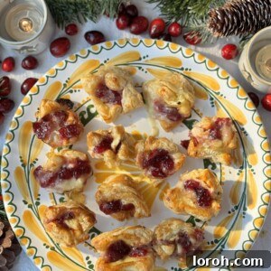 Brie Puff Pastry Bites with cranberry and chives