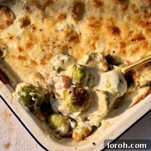 A bubbling tray of creamy Brussels sprouts with pancetta, topped with golden, melted Gruyere cheese, fresh from the oven.