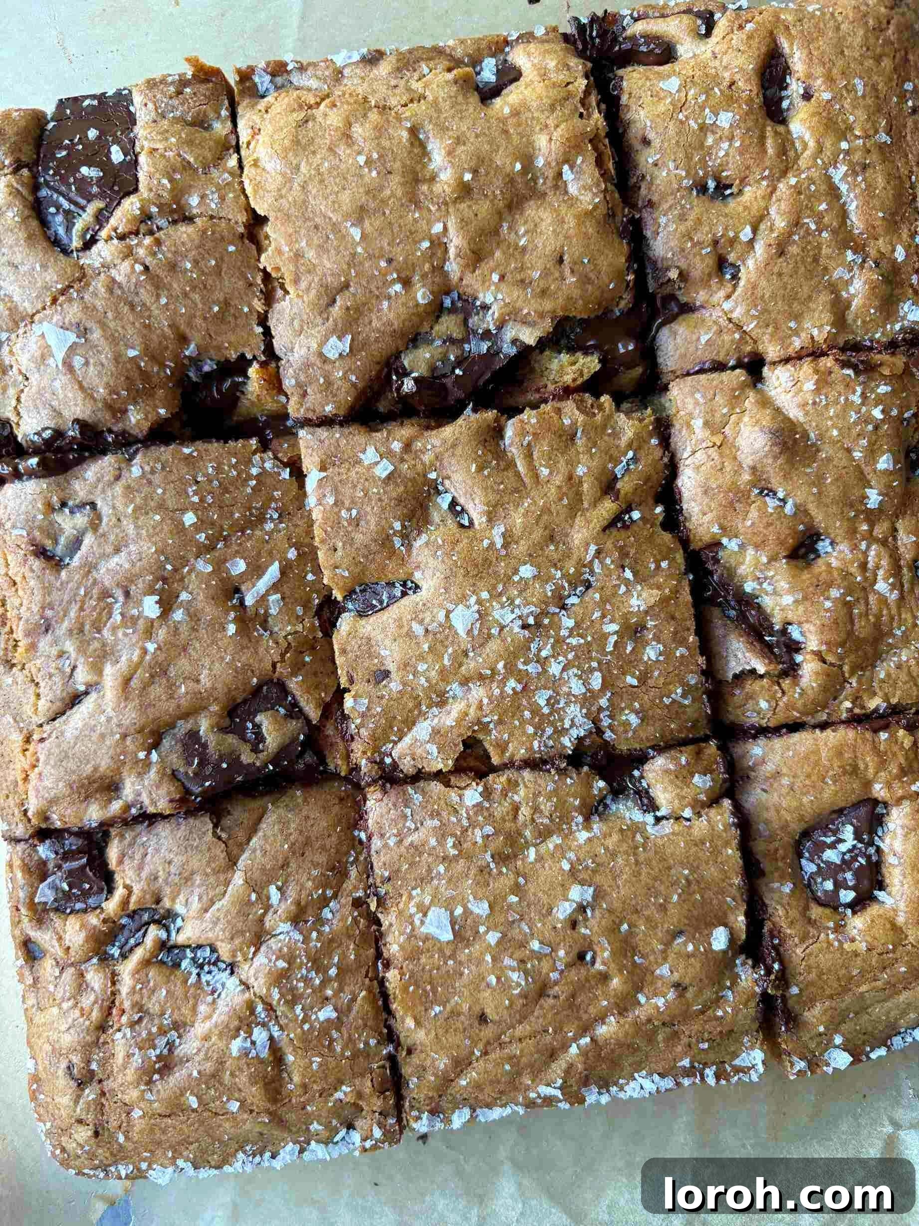 Ultimate Chocolate Chip Cookie Bars 2 Delicious chocolate chip cookie bars freshly baked and ready to enjoy.