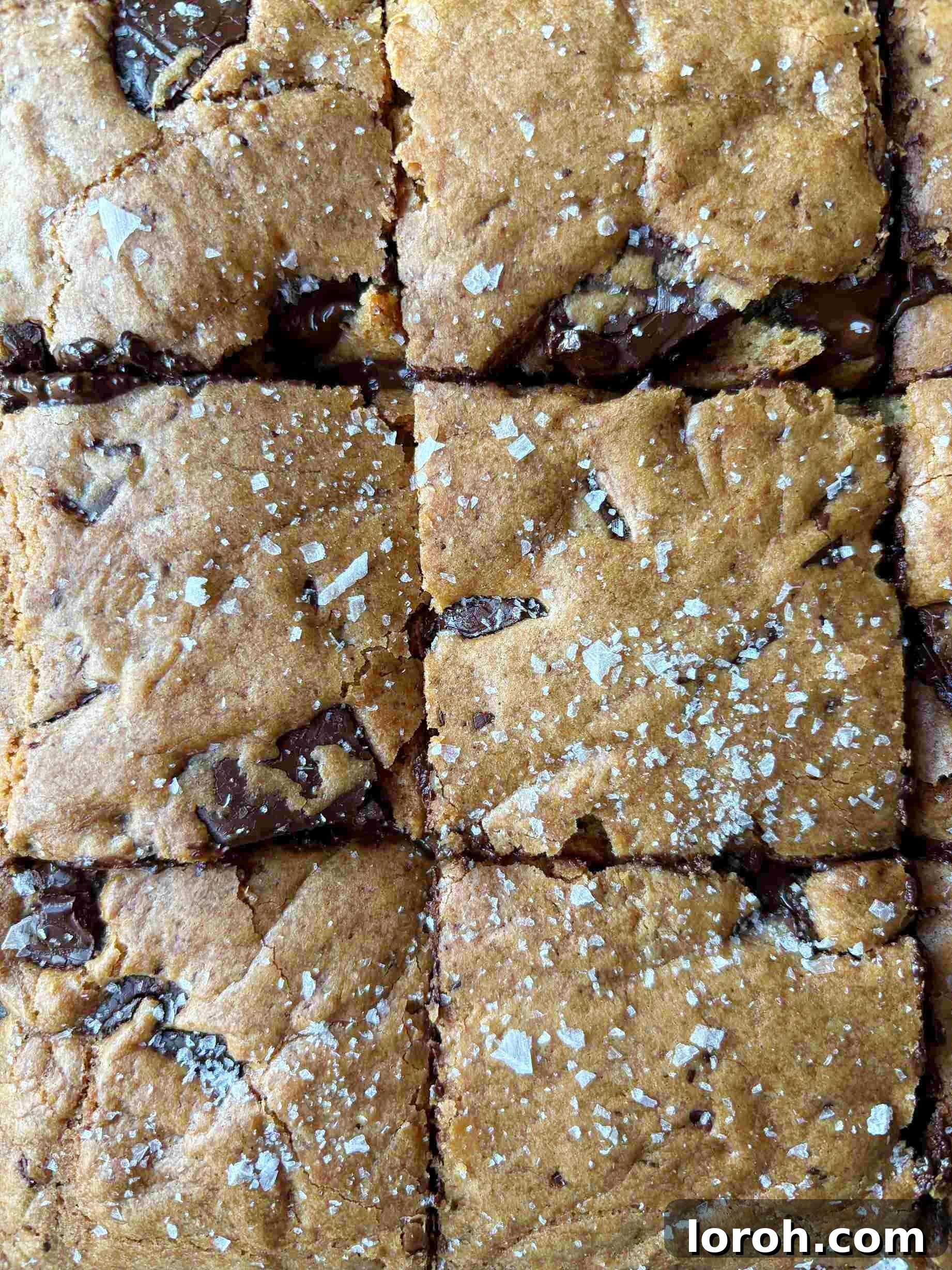 Ultimate Chocolate Chip Cookie Bars 15 Close-up of freshly baked and sliced chocolate chip cookie bars, showing gooey chocolate inside.