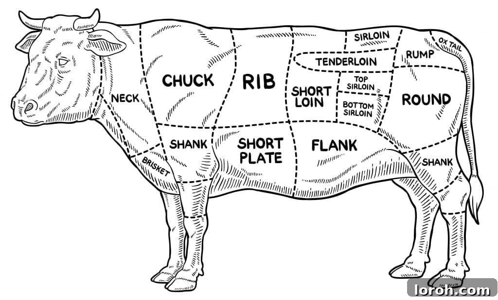 diagram illustrating various cuts of beef on a cow outline, highlighting the sirloin region.