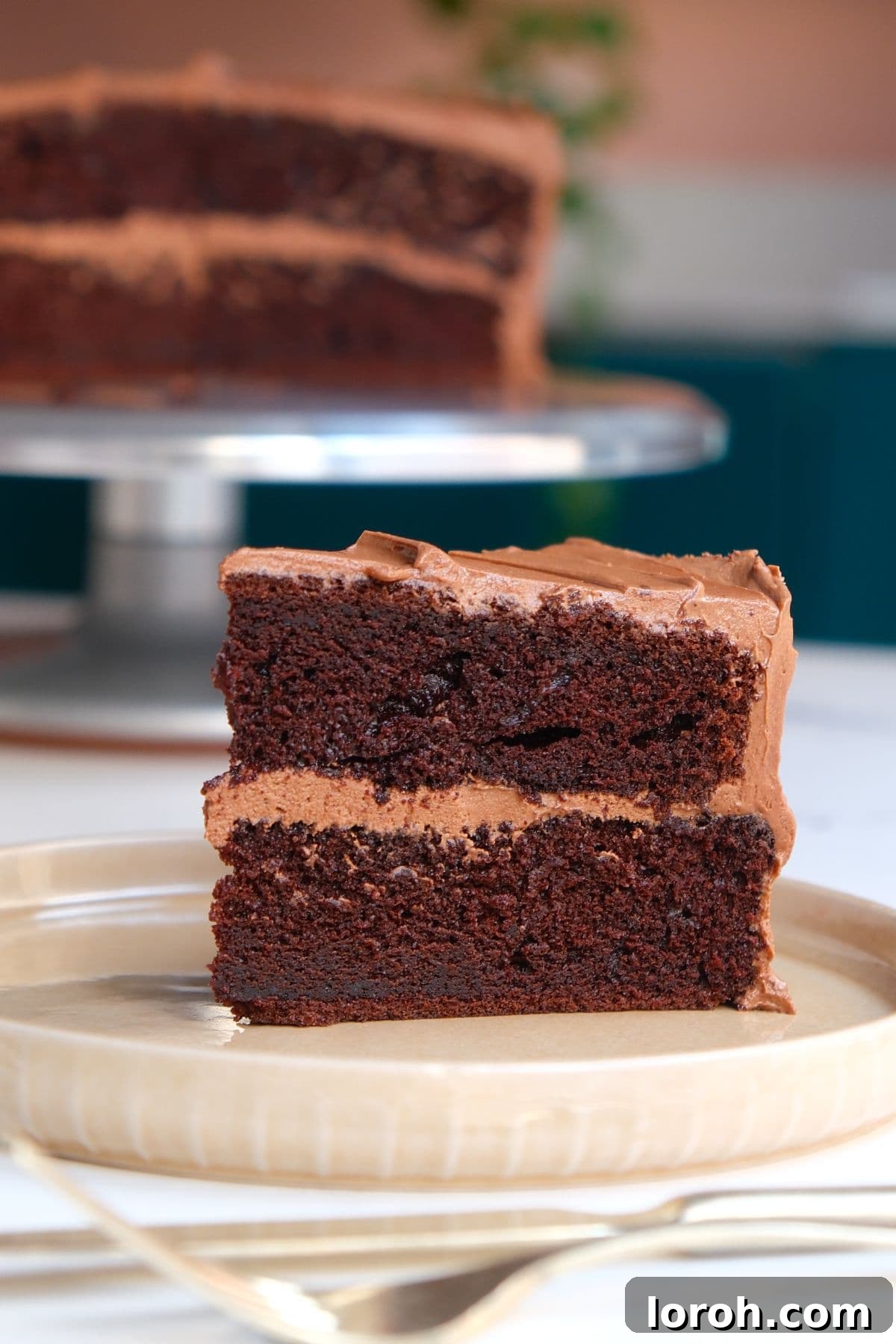 Decadent Chocolate Fudge Cake 2 A perfectly sliced piece of moist chocolate fudge cake on a white plate, revealing its rich layers and creamy fudge icing.
