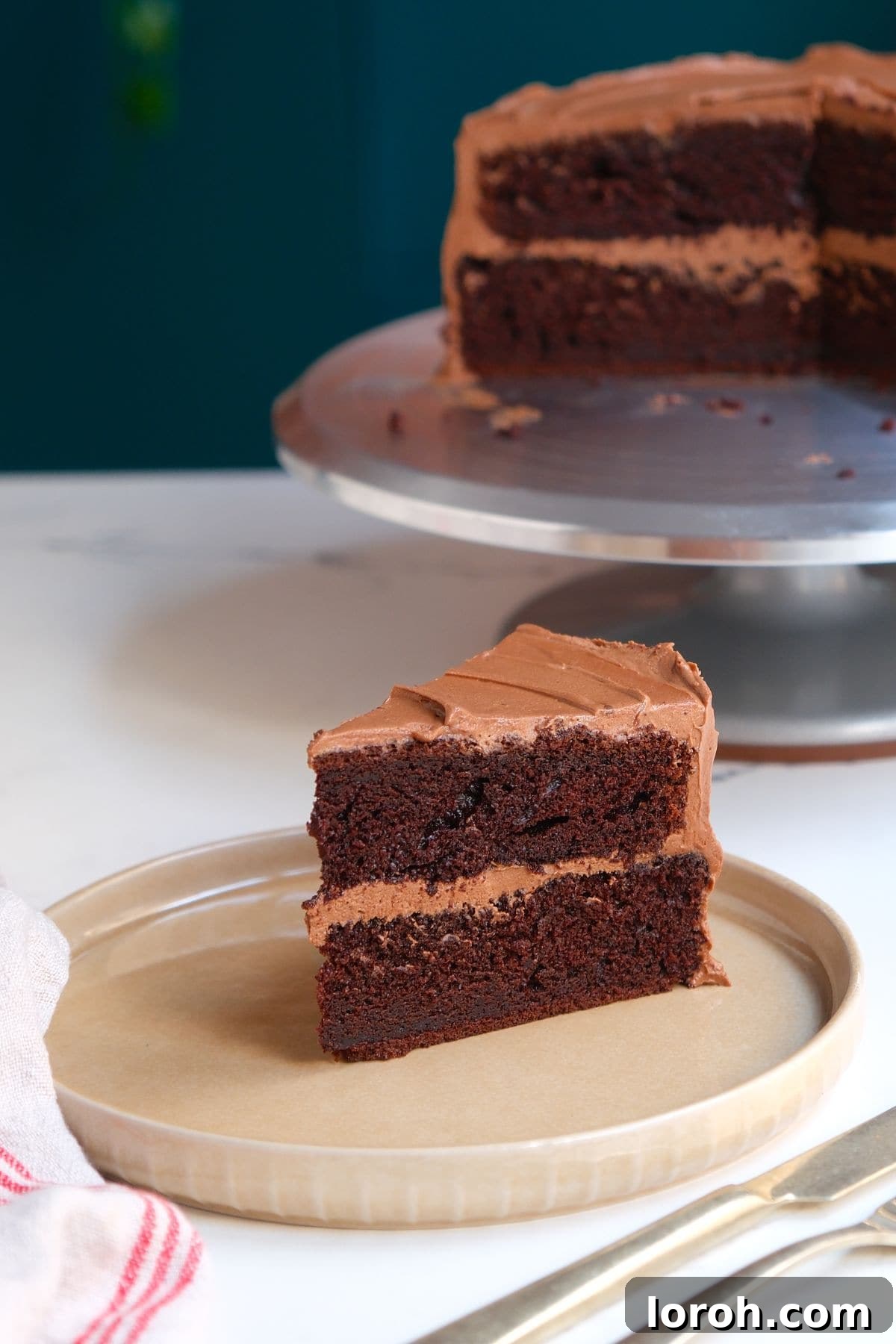 Decadent Chocolate Fudge Cake 15 A delicious slice of chocolate fudge cake garnished with fresh raspberries, showcasing its moist texture.