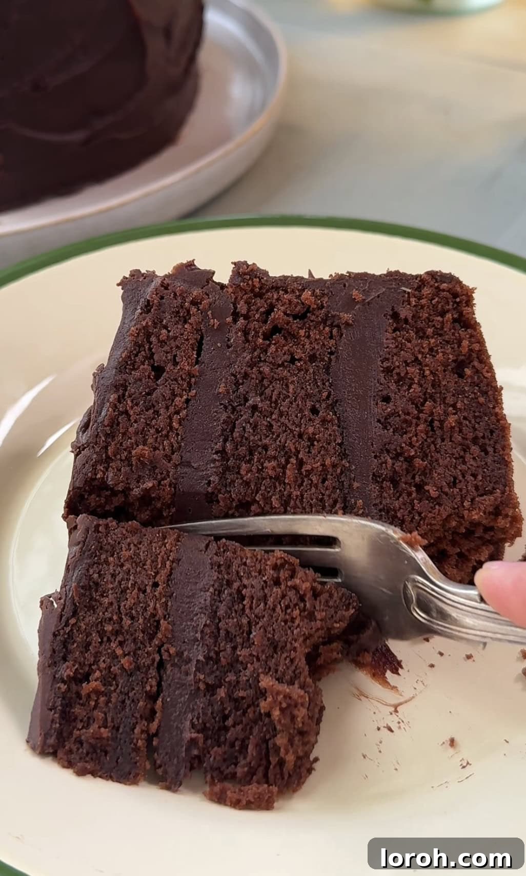 A slice of Matilda's chocolate cake on a white plate with a fork, showing the moist layers and ganache.