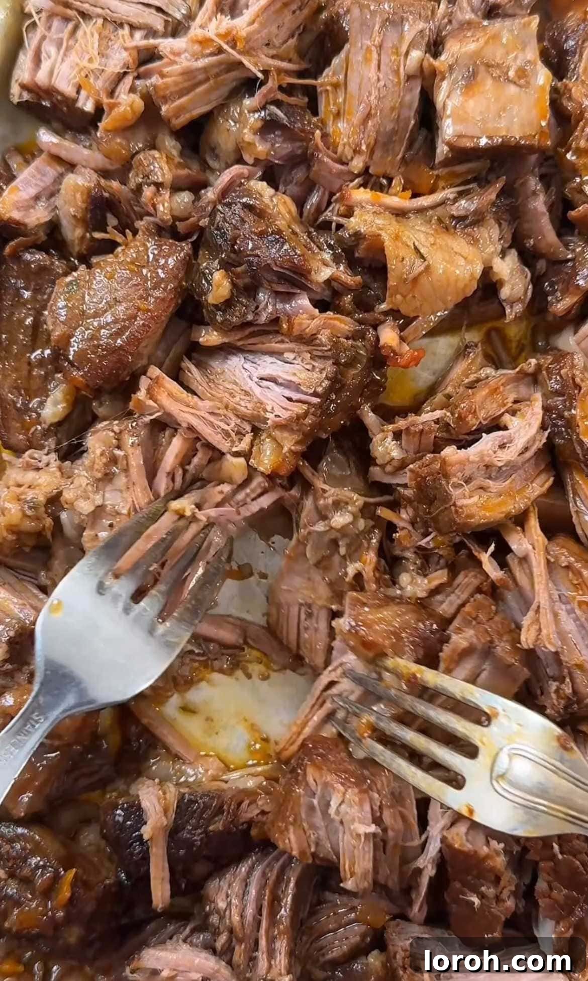 Tender, shredded beef short ribs being returned to the rich ragu sauce.