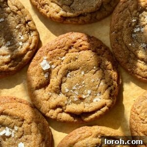 Silky Soft Chocolate Rounds 10 Soft & Chewy Chocolate Chipless Cookies