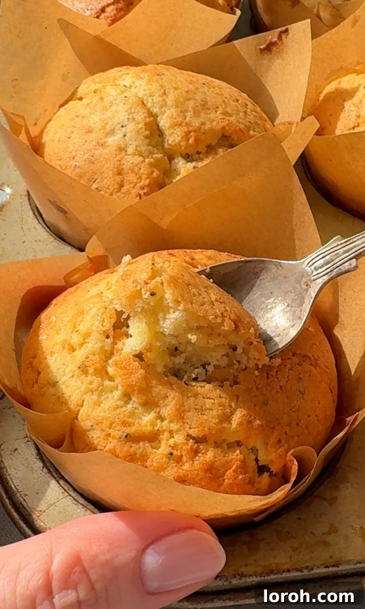 Zesty Lemon Poppy Seed Delights 9 Using an apple corer to scoop out a small circle from the top of a baked lemon muffin.