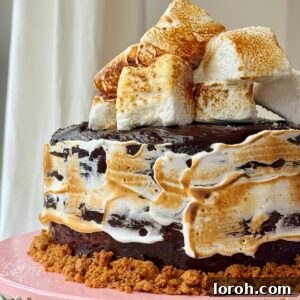 A beautifully decorated s'mores cake topped with golden toasted marshmallows.