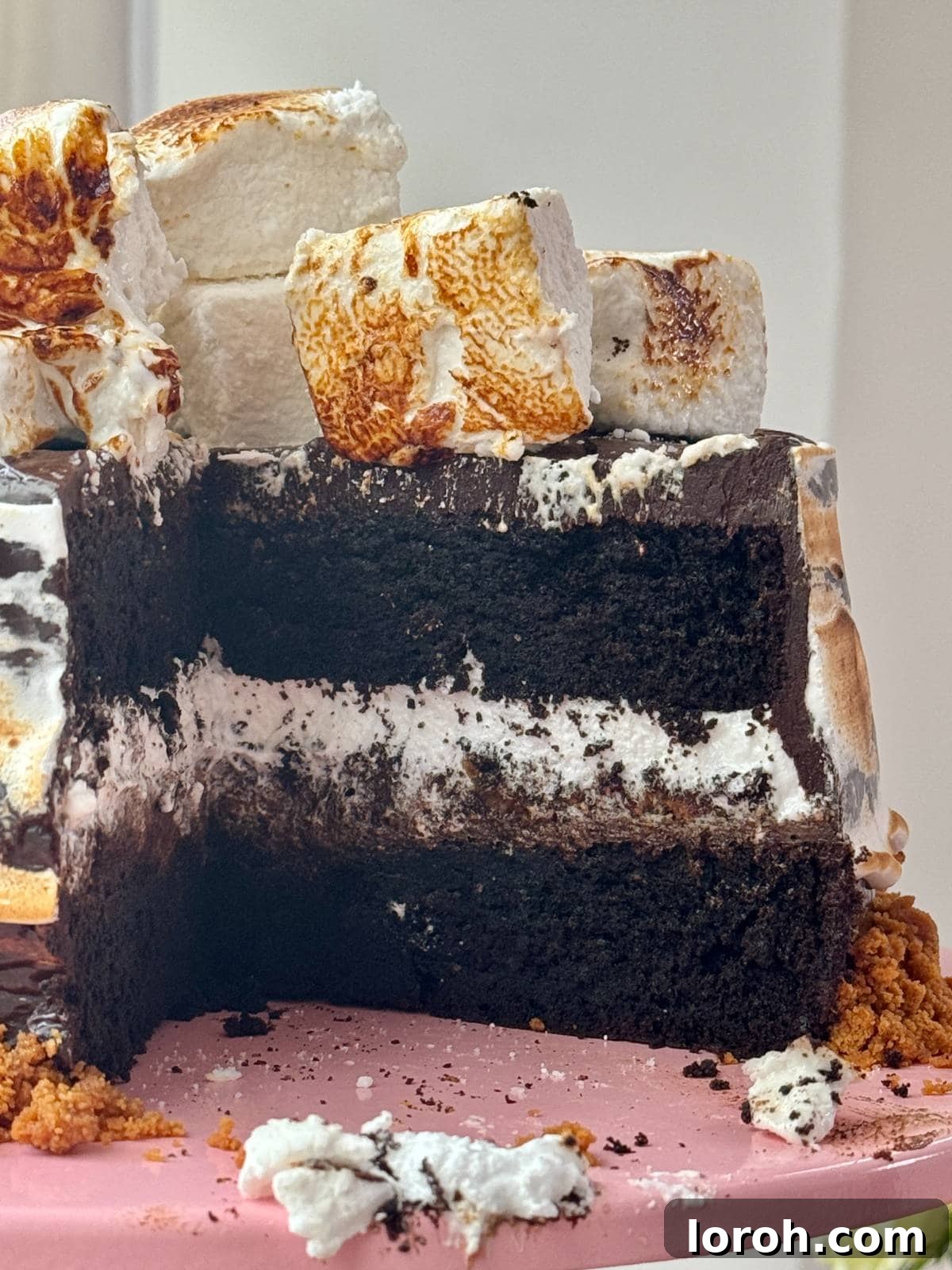 Ultimate Smores Indulgence 7 A beautiful s'mores cake with a slice removed, revealing the rich layers of chocolate cake, ganache, biscuit crumb, and marshmallow frosting.