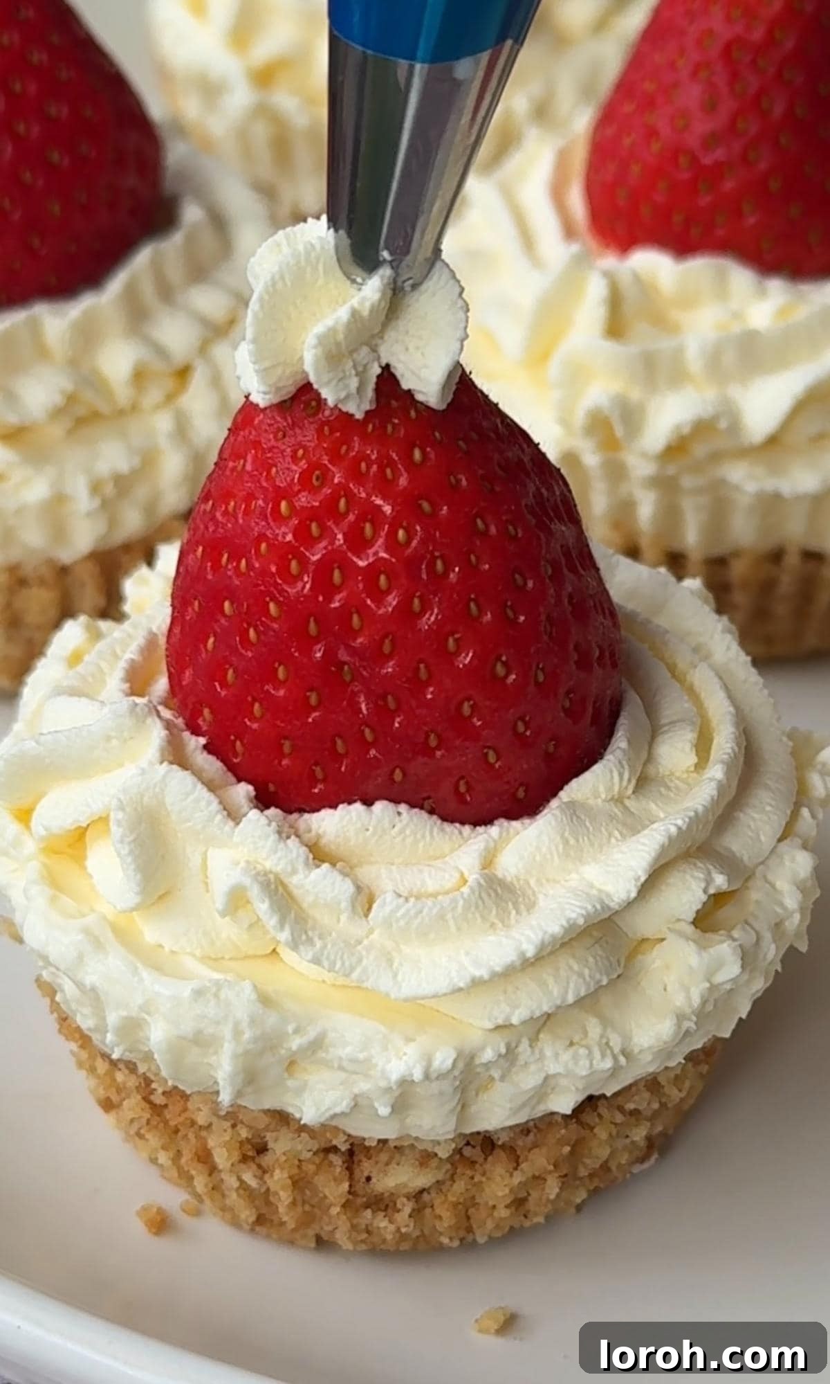 Effortless Christmas Cheesecake Bites 11 topping christmas cheesecakes with santa hat.