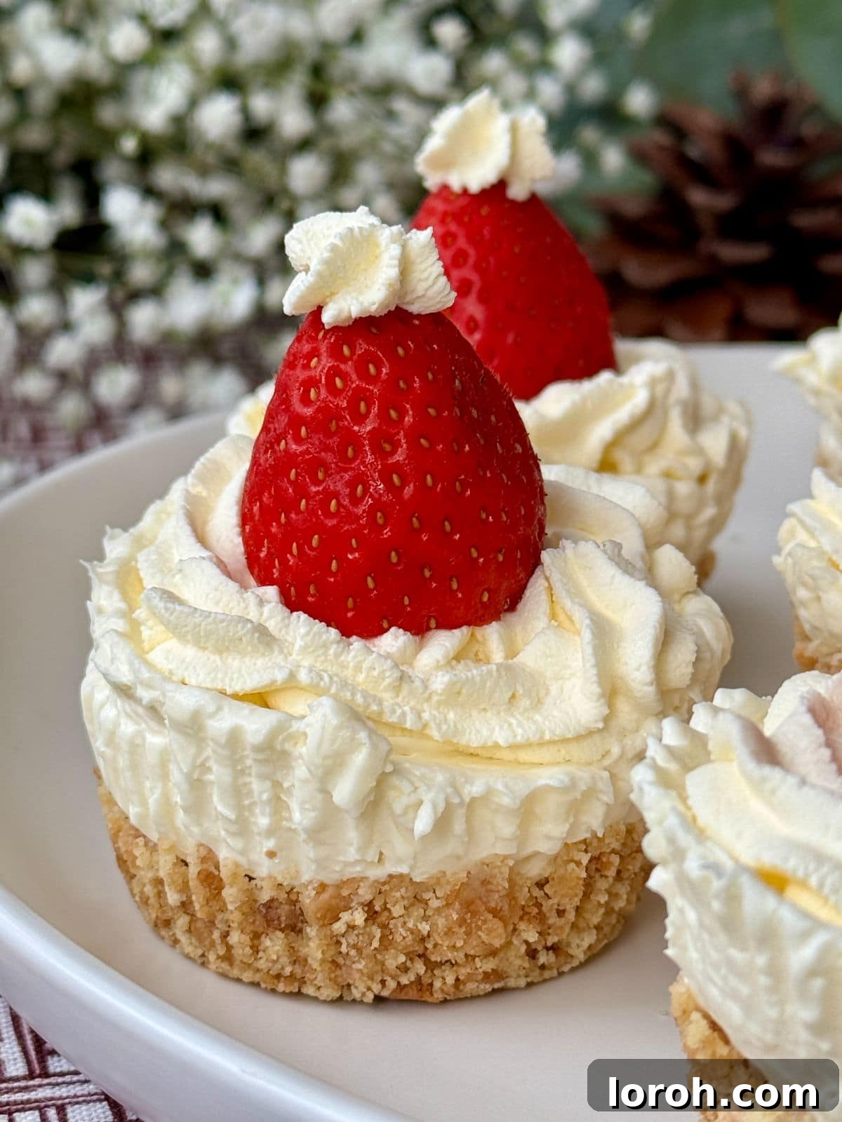 Effortless Christmas Cheesecake Bites 12 christmas cake cheesecake on a plate.