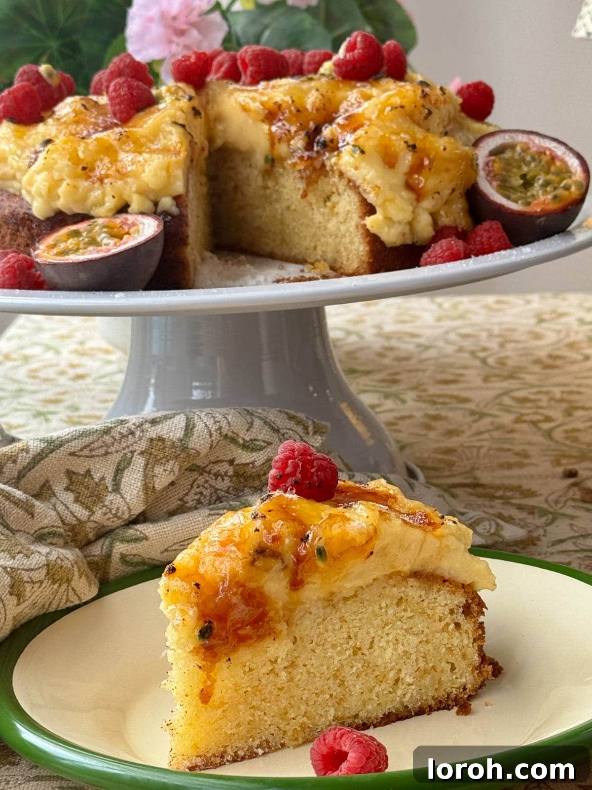No-Fuss Torched Custard Cake 2 A beautiful slice of crème brûlée cake on a pristine white plate, showcasing its golden caramel topping and creamy custard layer.
