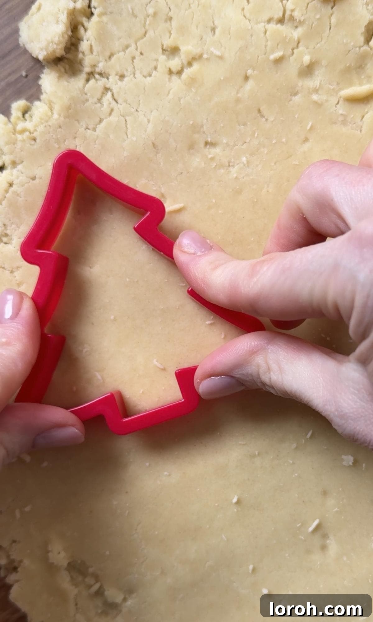 cutting out christmas tree shaped cookies from the rolled dough.