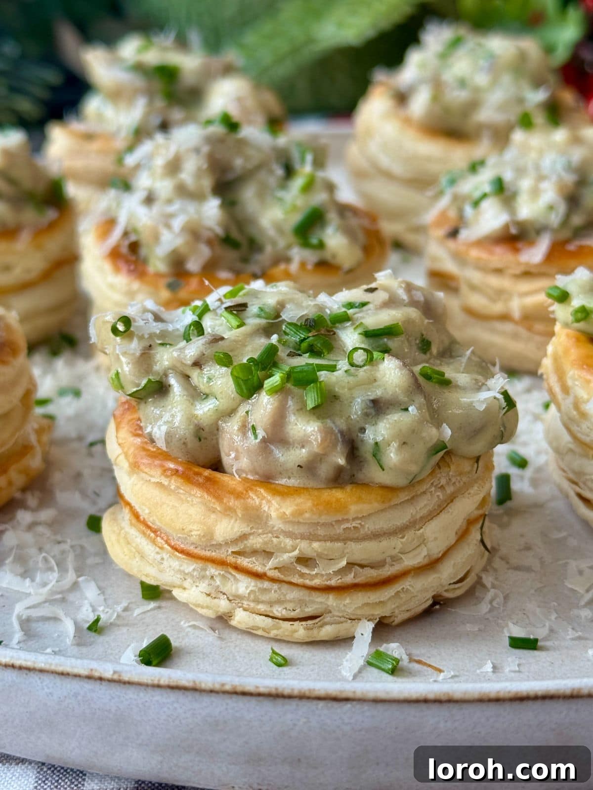 Beautifully arranged chicken and mushroom vol-au-vents on a pristine white plate, garnished with fresh herbs, ready to be served as an exquisite appetizer.