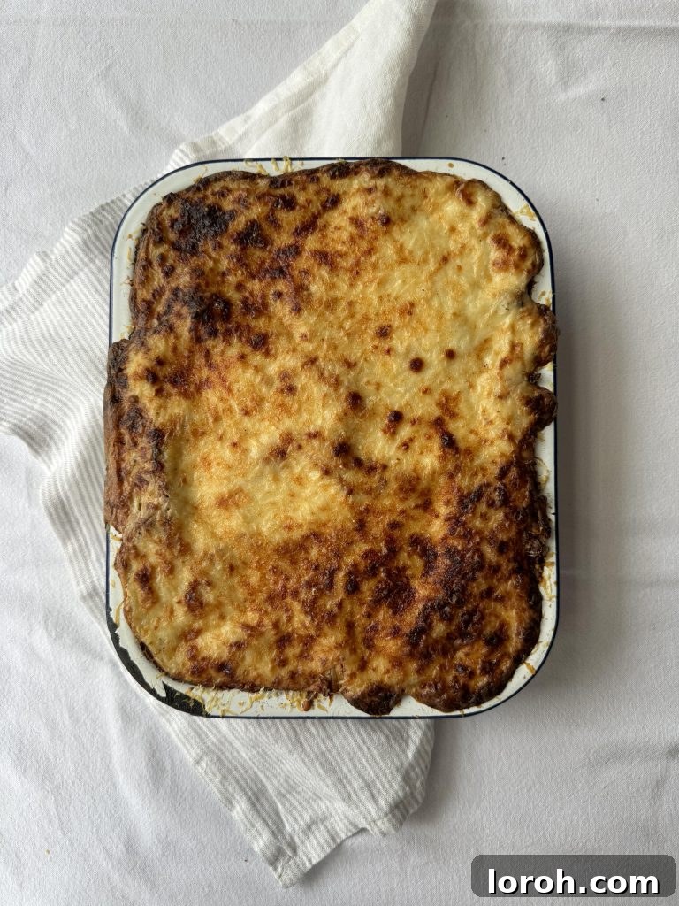Effortless Lasagna with Shortcut White Sauce 3 A rectangular dish of baked lasagne, featuring a crispy, golden-brown cheese topping fresh out of the oven