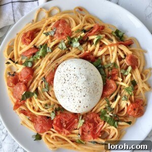 A close-up of Burrata Pasta, highlighting the creamy burrata and vibrant tomato sauce.