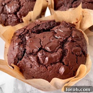 Moist chocolate chunk muffin.