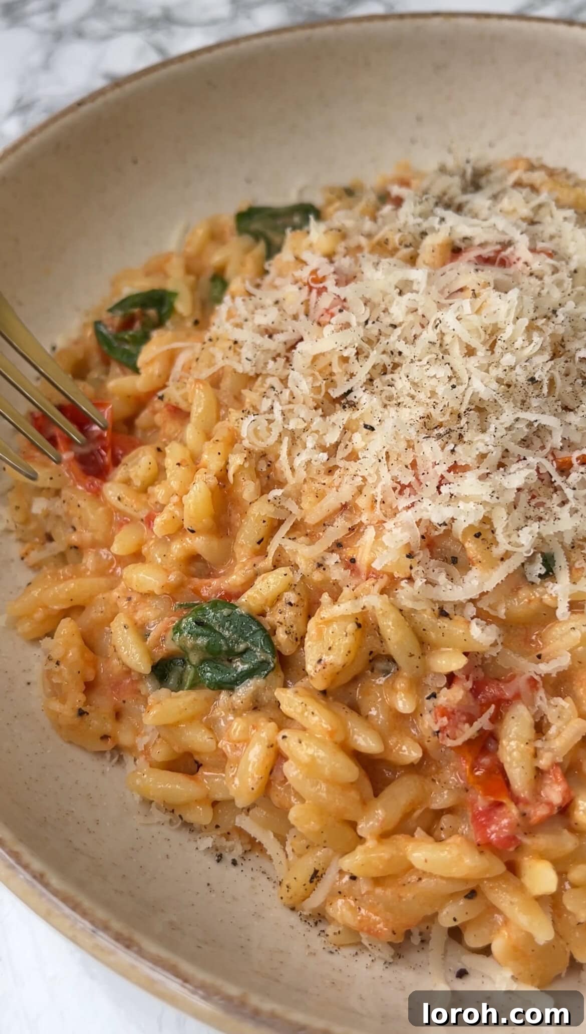 Velvety Tomato Mascarpone Orzo 3 creamy orzo with tomato and mascarpone in a large bowl, ready to serve.