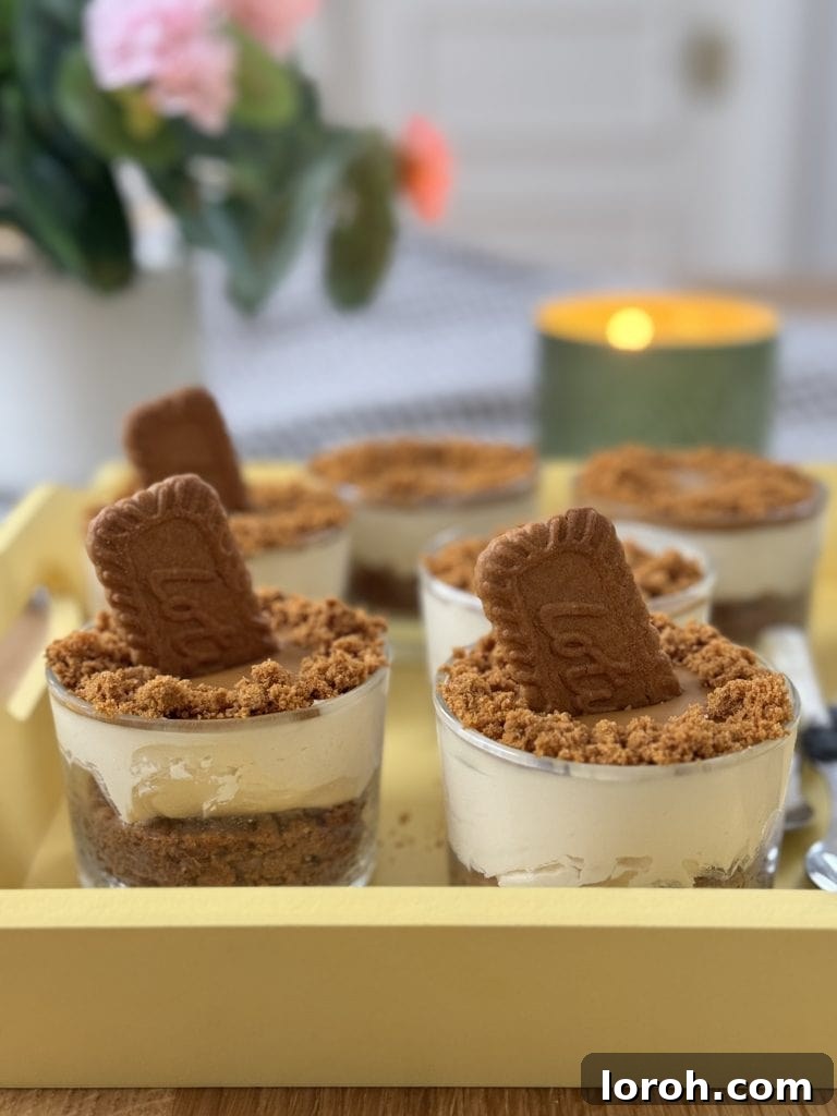 Five Ingredient No Bake Biscoff Cheesecake 2 No bake biscoff cheesecakes with Biscoff biscuits in the middle on a yellow tray, showcasing a perfect dessert.